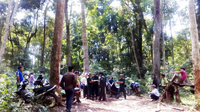 Gia[-]Lai:[-]Xin[-]xây[-]thủy[-]điện[-]trong[-]khu[-]bảo[-]tồn